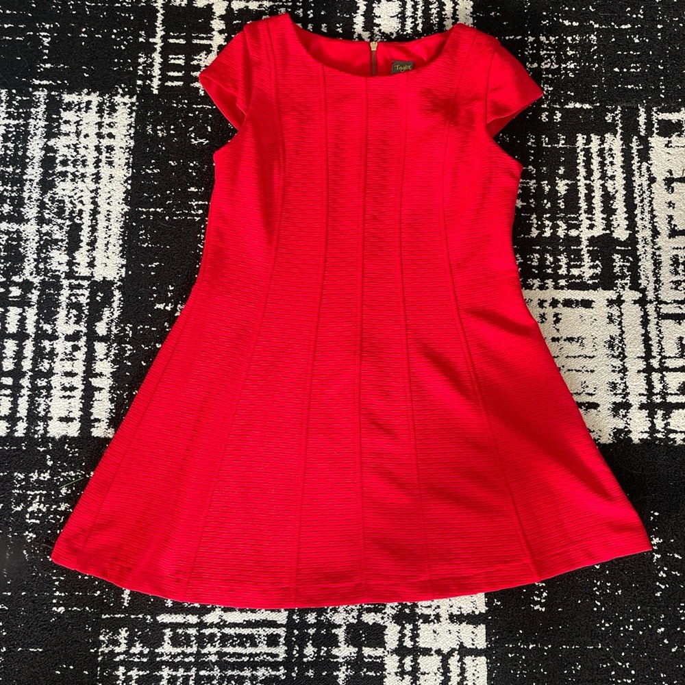 Stylish Red Mini Fit and Flare Dress